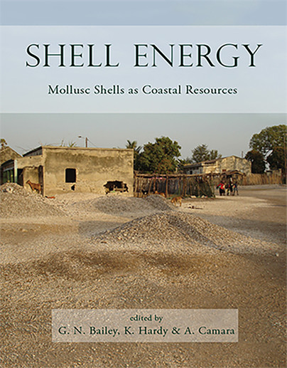 Shell Energy