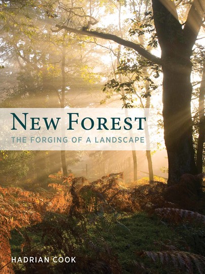 New Forest Cover