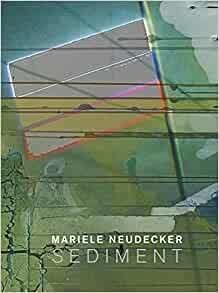 Mariele Neudecker - SEDIMENT