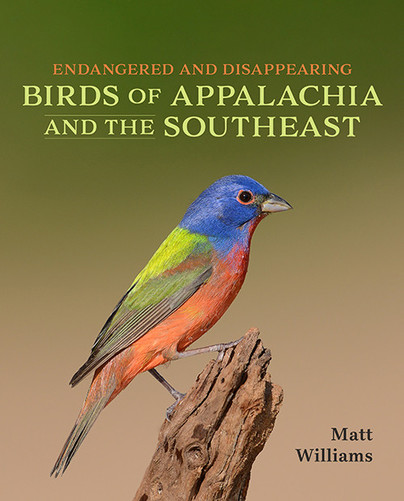 Endangered and Disappearing Birds of Appalachia and the Southeast Cover