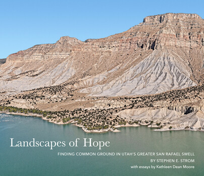 Landscapes of Hope Cover