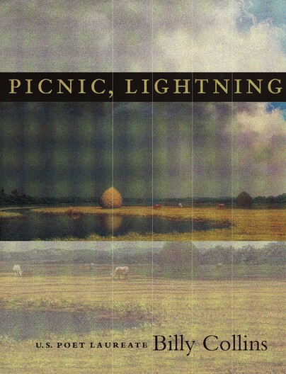 Picnic, Lightning Cover