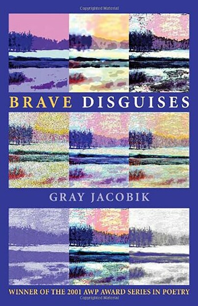 Brave Disguises Cover